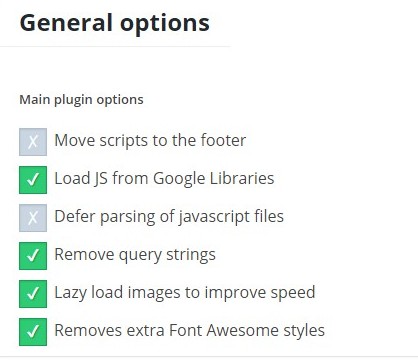 Speed Booster Options ‹ KLEO — WordPress - Google Chrome_3