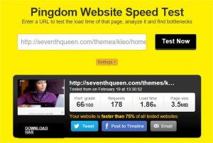 Website speed test - Google Chrome_11