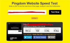Website speed test - Google Chrome_14