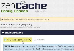 ZenCache ‹ KLEO — WordPress - Google Chrome_3